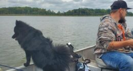 Tragedy as father and his dog drown in front of his family