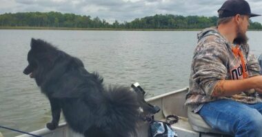 Tragedy as father and his dog drown in front of his family