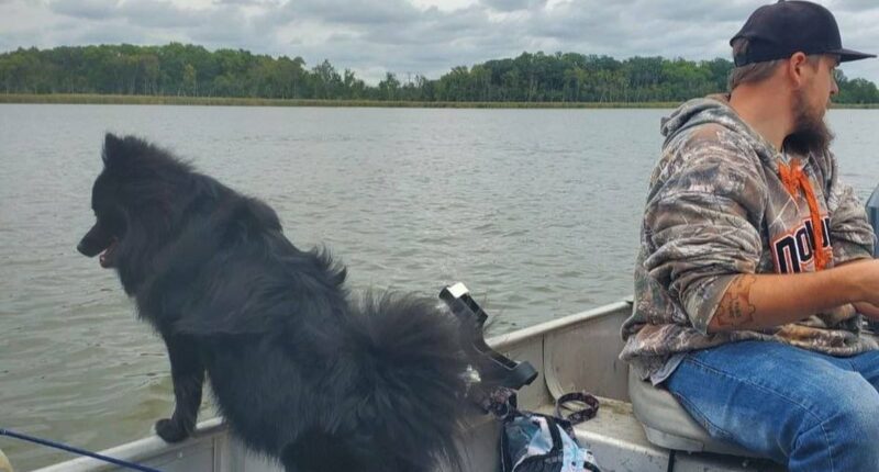 Tragedy as father and his dog drown in front of his family