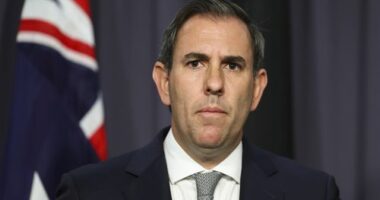 Treasurer Dr Jim Chalmers at a press conference at Parliament House in Canberra on Monday 13 October 2025. fedpol Photo: Alex Ellinghausen