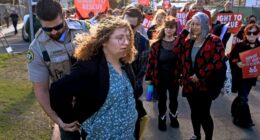 Trial of a California woman who stole chickens puts slaughter houses in national spotlight