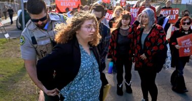 Trial of a California woman who stole chickens puts slaughter houses in national spotlight