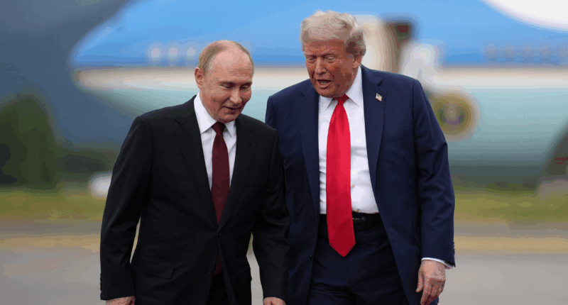 Trump, Putin plan Hungary meeting on Ukraine war, Zelenskyy to visit White House Friday