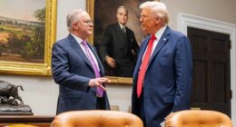 Trump and Albanese sign critical minerals deal in chummy White House meeting