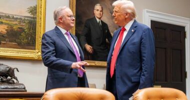 Trump and Albanese sign critical minerals deal in chummy White House meeting