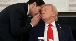 Trump announces Gaza peace deal as Israel and Hamas sign off