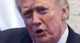 Trump asks the President of Israel to pardon Netanyahu