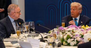 Donald Trump has complimented Anthony Albanese for doing a 'fantastic job' on a $13billion critical minerals deal, before the pair were seen clinking glasses and sitting side-by-side at an exclusive dinner. The meeting was held at the Hilton Hotel in Gyeongju, southeastern South Korea , on Wednesday on the sidelines of the Asia Pacific Economic Cooperation (APEC) summit.