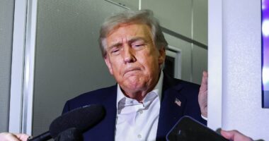 Trump gives update on White House ballroom after name was 'leaked'