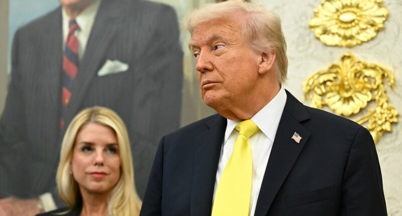 Trump hails 'beautiful black women' strutting Chicago in MAGA hats