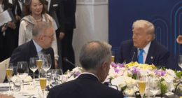 Trump heaps praise on Albanese ahead of crucial meeting with China's leader