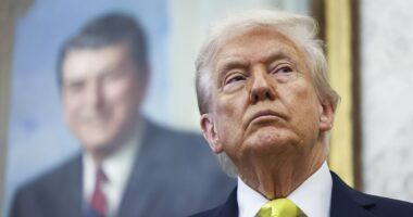 Trump issues chilling threat to Hamas as Gaza descends into bloody civil war: 'We will have no choice'