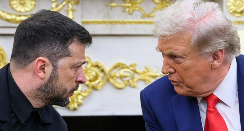Trump meets with Ukrainian President Zelenskyy at White House