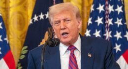 Trump pardons Binance founder Changpeng Zhao