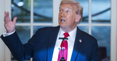 Trump plans massive changes to IRS in effort to target left-wingers