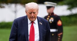 Trump revenge against lawyers must end: Ex-DC Bar presidents