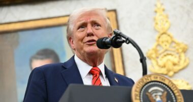 Trump says mass government layoffs will be 'Democrat oriented'