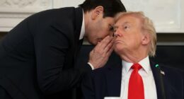 Trump shuts down CNN reporter with brutal takedown
