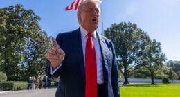 Trump slams 'stupid and outdated' blue slip rule for nominees