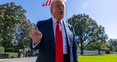 Trump slams 'stupid and outdated' blue slip rule for nominees