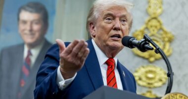 Trump starts DOGE 2.0 as mass layoffs take place across government