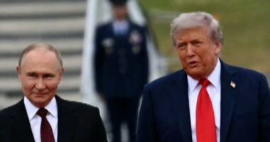 Trump to have another summit with Putin in Budapest