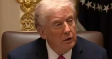 Trump to talk possibility of Ukraine strikes on Russia