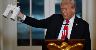 Trump unveils progress on $250 million ballroom in White House dinner