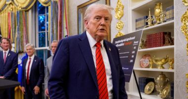 Trump vows to pay troops amid shutdown, rallies against 'radical left'