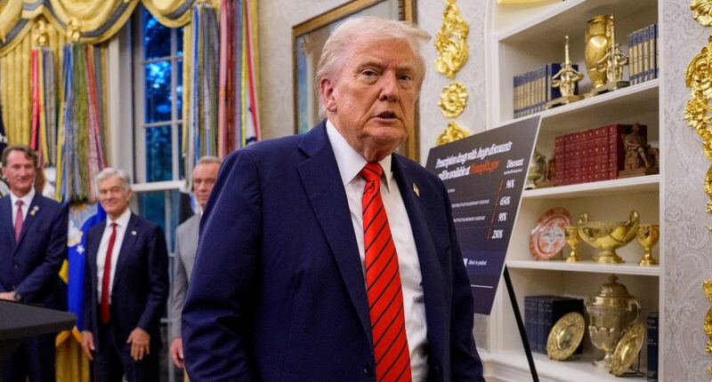 Trump vows to pay troops amid shutdown, rallies against 'radical left'