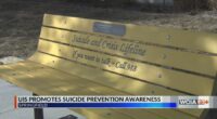 UIS unveils new resource for students struggling with mental health