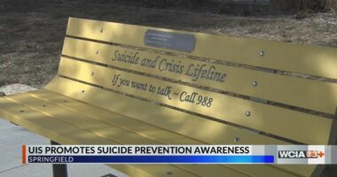 UIS unveils new resource for students struggling with mental health