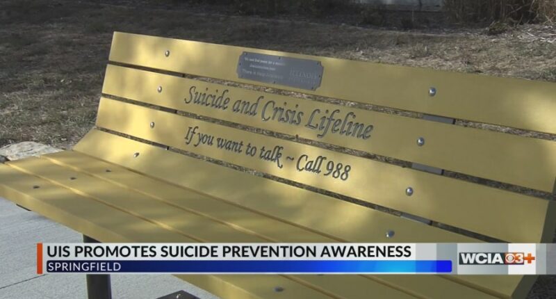 UIS unveils new resource for students struggling with mental health
