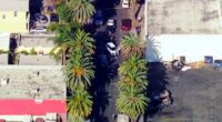 US Marshal, illegal alien shot in Los Angeles immigration operation