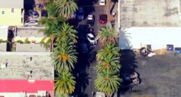 US Marshal, illegal alien shot in Los Angeles immigration operation