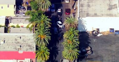 US Marshal, illegal alien shot in Los Angeles immigration operation