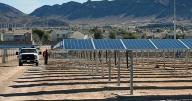 John Gatlin of Greenbotics walks between rows of solar panels at a solar generating station, with a truck nearby.