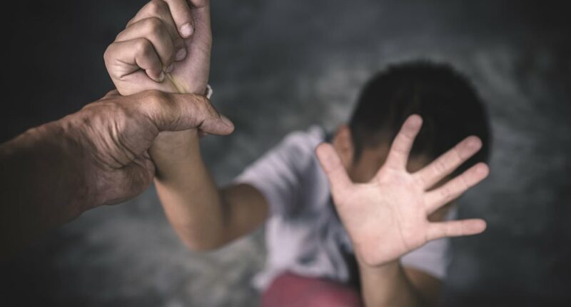 Unbelievably evil ordeal mum-to-be unleashed on her helpless young son