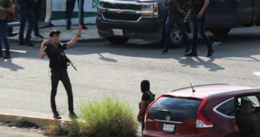 Undercover spies seize kingpin of the world's most evil empire