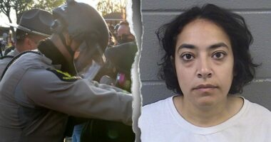 University of Chicago condemns violence but dodges questions about professor arrested in anti-ICE riots