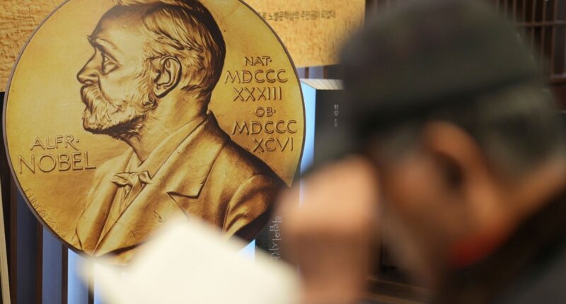 University of Illinois Urbana-Champaign graduate Omar M. Yaghi wins Nobel Prize in chemistry next to Kitagawa, Robson