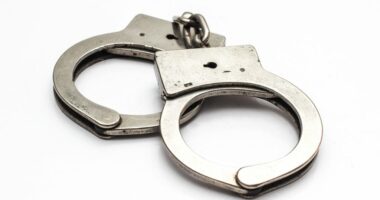 Upstate N.Y. man arrested for threat to ‘bomb ICE agents’ during NYC No Kings march