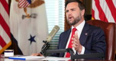 Vance on Young Republicans' chat: 'That’s what kids do'