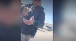 Viral video shows federal agent draw gun on pregnant woman