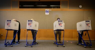 Vote NO on Prop 6, let NYC elections be