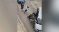 WGN employee 'violently assaulted' by Border Patrol agents, attorneys say in new statement