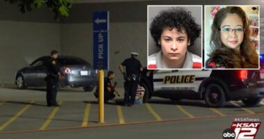 Walmart employee crashed into co-worker in store parking lot