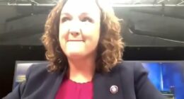 Wannabe Dem Governor Katie Porter caught in THIRD bullying incident