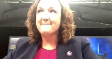 Wannabe Dem Governor Katie Porter caught in THIRD bullying incident