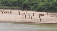 Warning isolated Indigenous groups could vanish within a decade